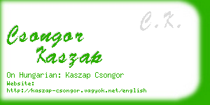 csongor kaszap business card